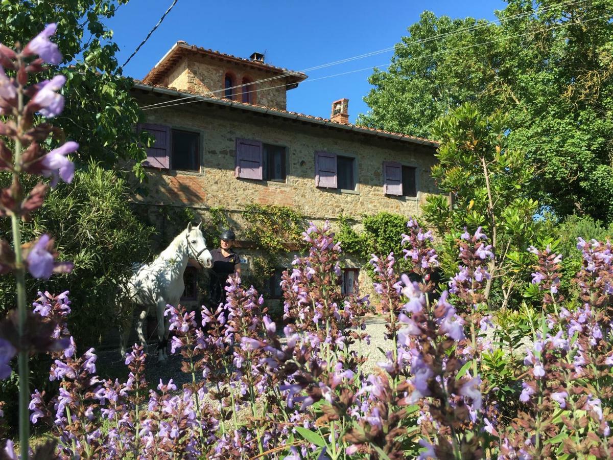 Farmhouse B&B Il Paretaio Barberino di Val dʼElsa Dış mekan fotoğraf