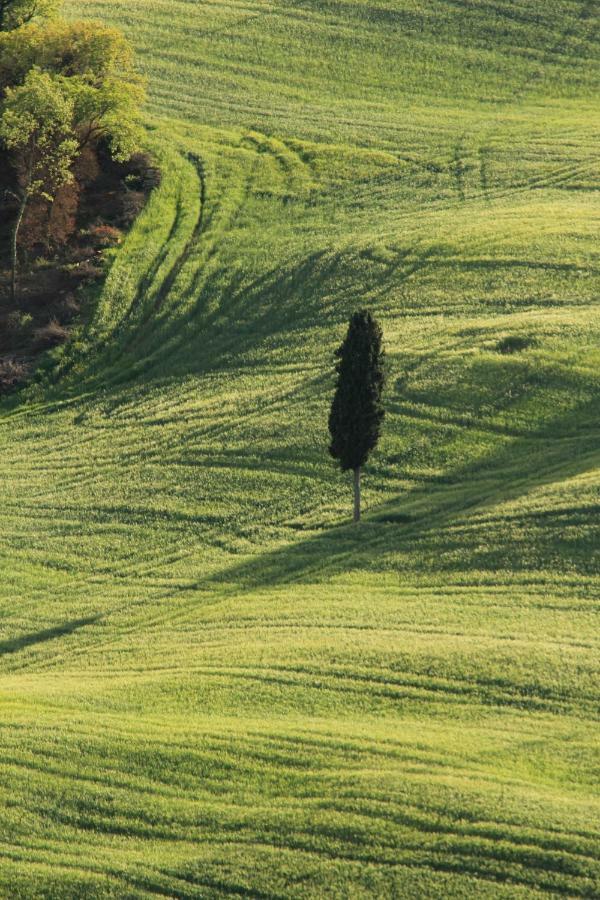 Farmhouse B&B Il Paretaio Barberino di Val dʼElsa Dış mekan fotoğraf