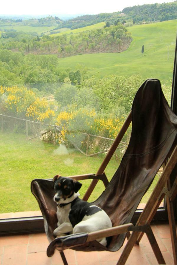 Farmhouse B&B Il Paretaio Barberino di Val dʼElsa Dış mekan fotoğraf