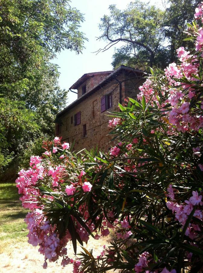 Farmhouse B&B Il Paretaio Barberino di Val dʼElsa Dış mekan fotoğraf