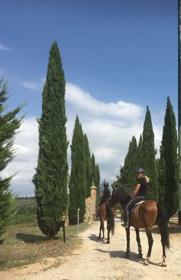 Farmhouse B&B Il Paretaio Barberino di Val dʼElsa Dış mekan fotoğraf