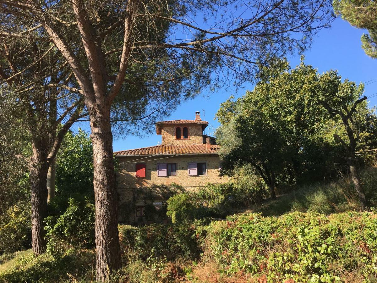 Farmhouse B&B Il Paretaio Barberino di Val dʼElsa Dış mekan fotoğraf