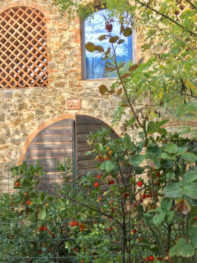 Farmhouse B&B Il Paretaio Barberino di Val dʼElsa Dış mekan fotoğraf