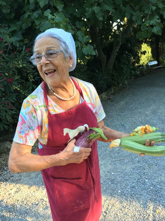 Farmhouse B&B Il Paretaio Barberino di Val dʼElsa Dış mekan fotoğraf