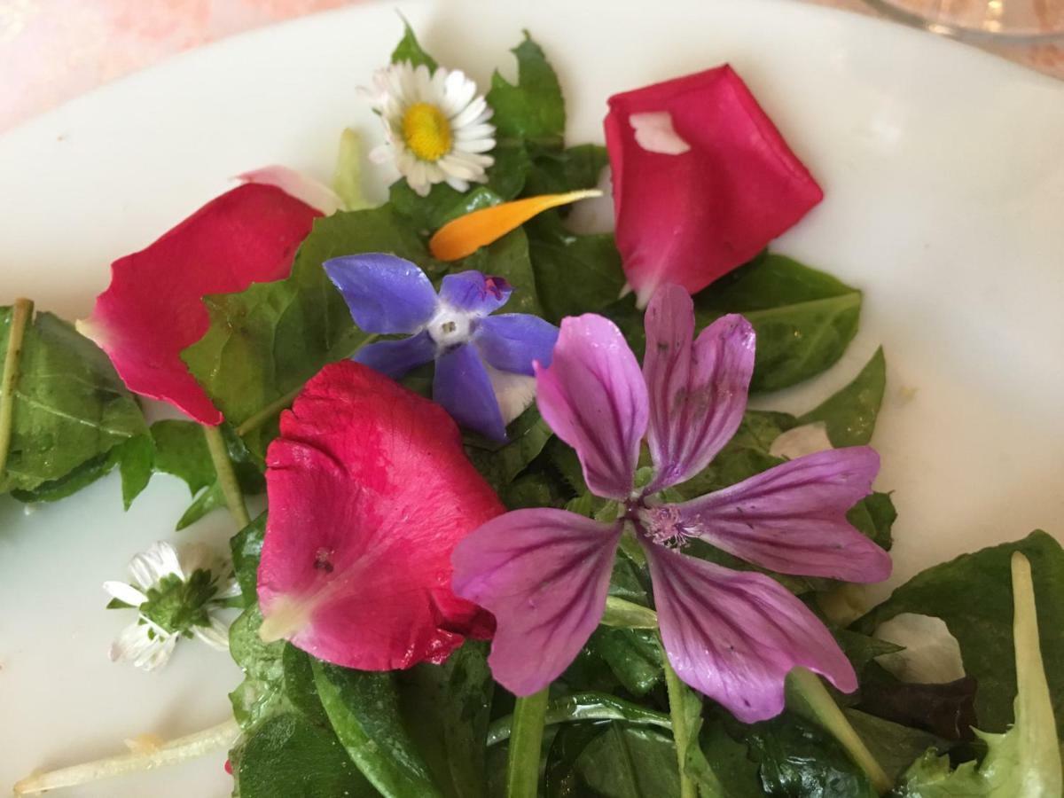 Farmhouse B&B Il Paretaio Barberino di Val dʼElsa Dış mekan fotoğraf