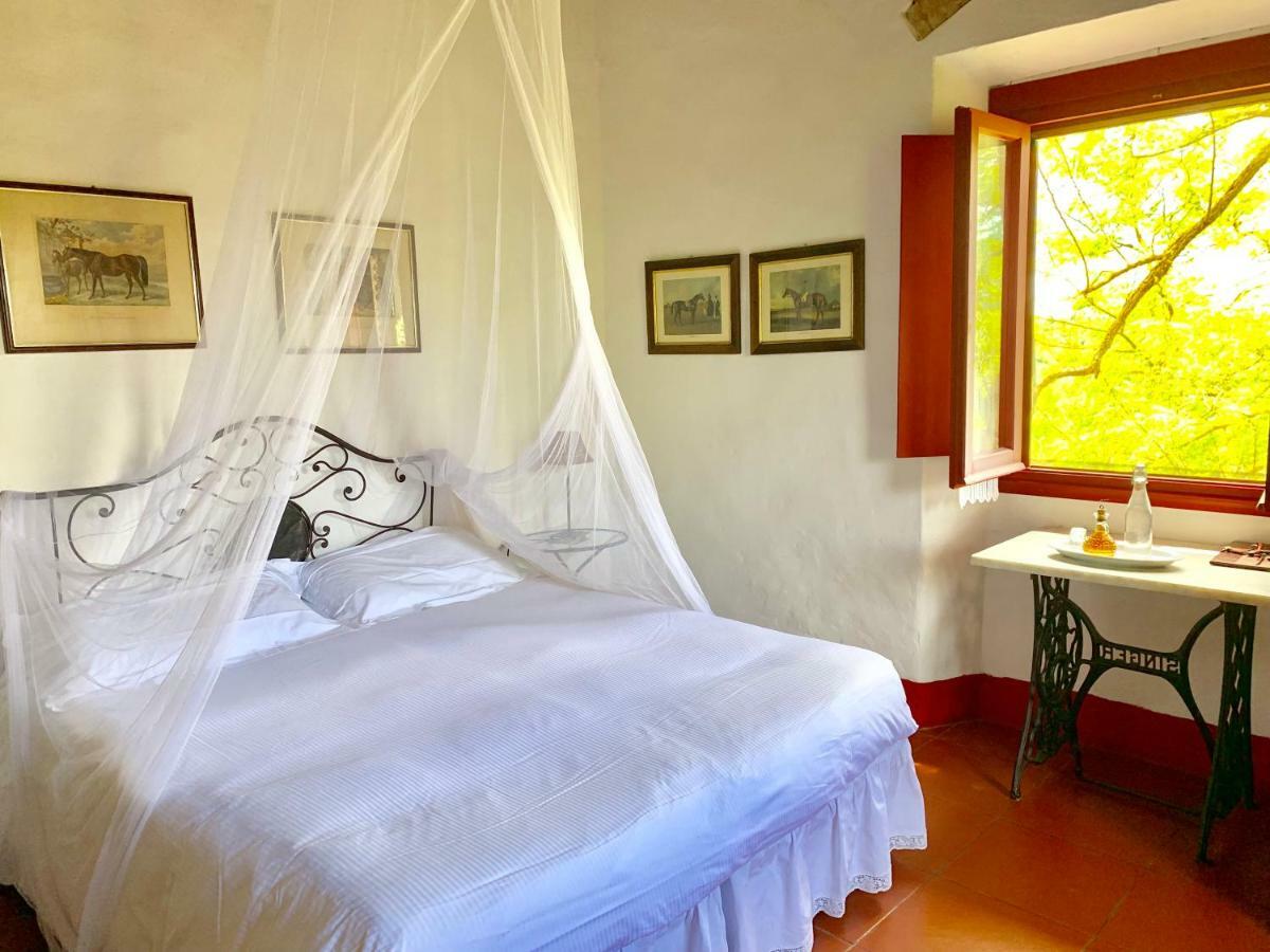 Farmhouse B&B Il Paretaio Barberino di Val dʼElsa Dış mekan fotoğraf