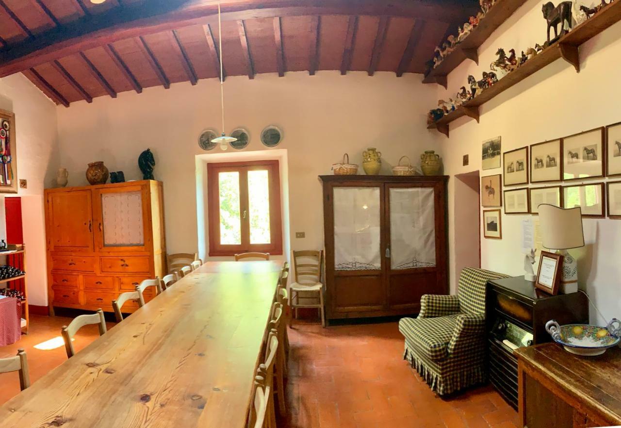 Farmhouse B&B Il Paretaio Barberino di Val dʼElsa Dış mekan fotoğraf